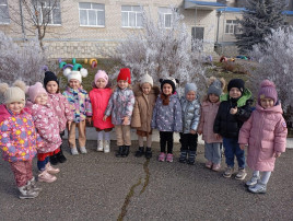 Зимняя прогулка Зимняя прогулка.
